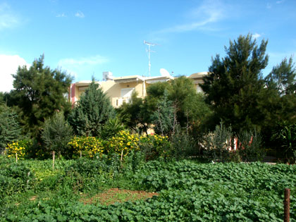 Mediterranean Sea